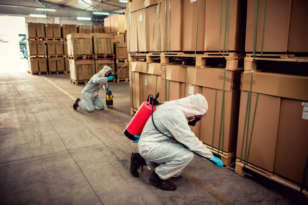 Pest Control Cost in Nesconset, NY