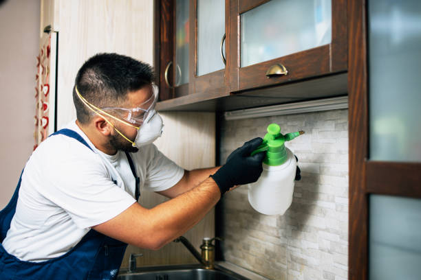 Best Local Pest Control Services  in Nesconset, NY
