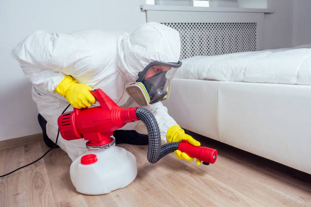 Best Bed Bug Extermination  in Nesconset, NY