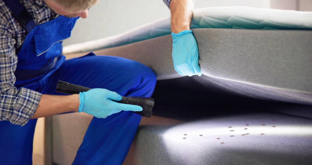 Best Local Pest Control Services  in Nesconset, NY