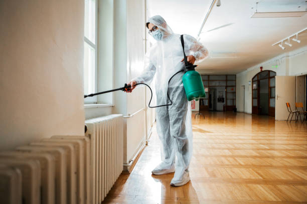Best Wasp Removal Services  in Nesconset, NY